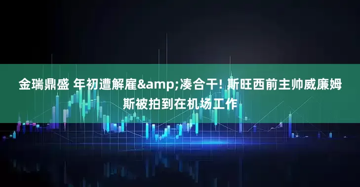 金瑞鼎盛 年初遭解雇&凑合干! 斯旺西前主帅威廉姆斯被拍到在机场工作