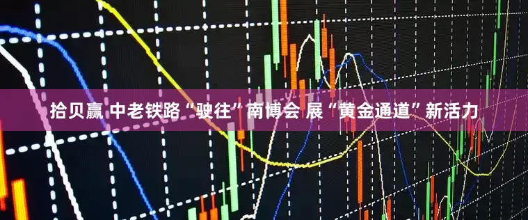 拾贝赢 中老铁路“驶往”南博会 展“黄金通道”新活力