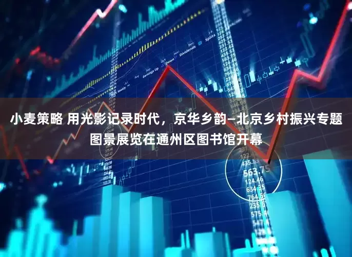 小麦策略 用光影记录时代，京华乡韵—北京乡村振兴专题图景展览在通州区图书馆开幕