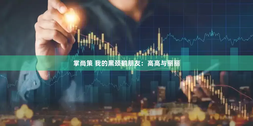 掌尚策 我的黑颈鹤朋友：高高与丽丽