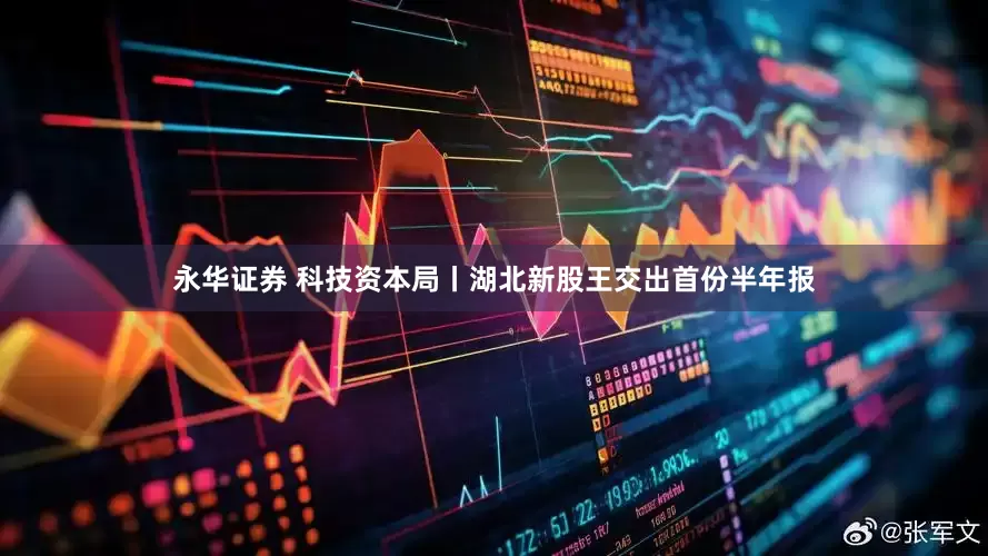 永华证券 科技资本局丨湖北新股王交出首份半年报